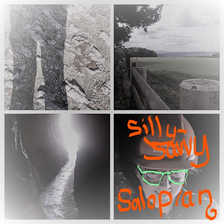 Inkedcaving collage_LI