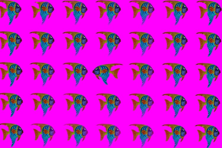 opposite-way-1274366_1920