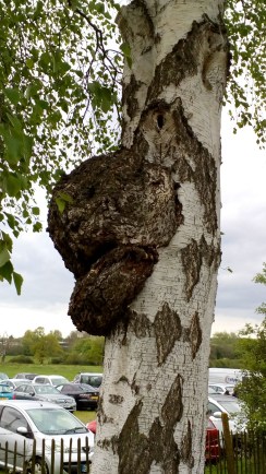 img_20190506_153047-1