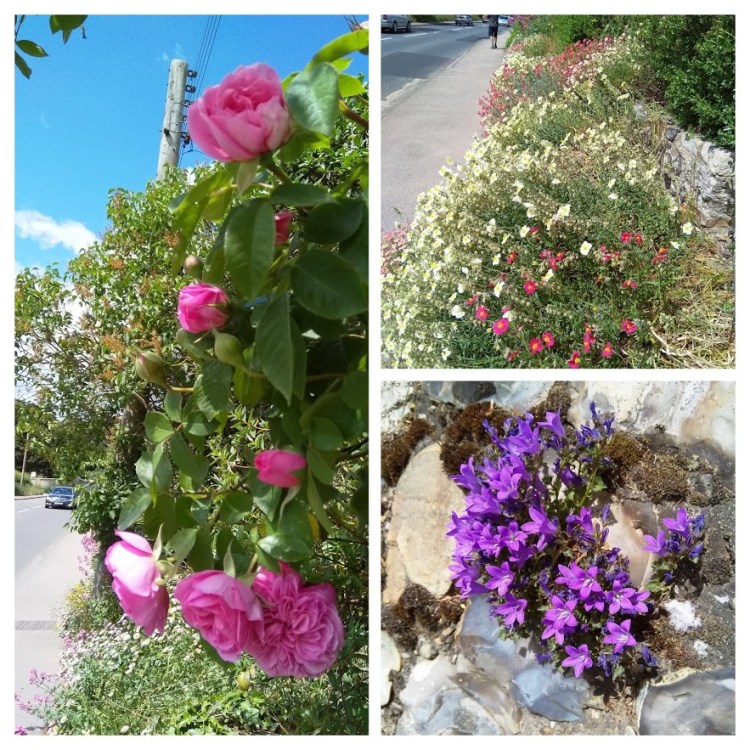 IMG_20190527_125557-COLLAGE