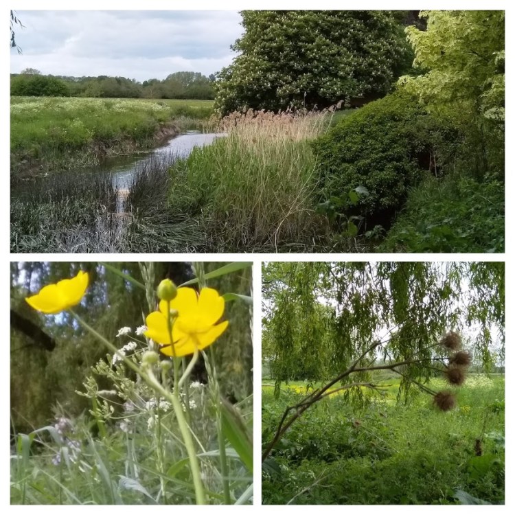 IMG_20190527_130413-COLLAGE