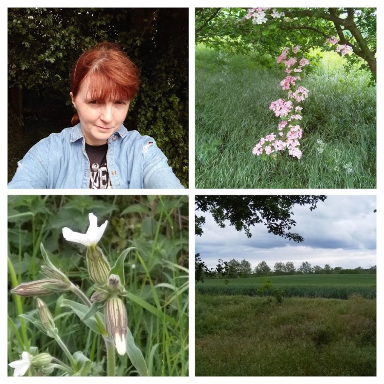 IMG_20190527_133434-COLLAGE