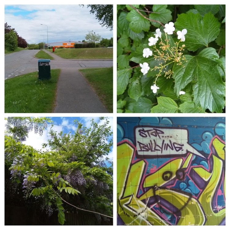 IMG_20190527_141924-COLLAGE