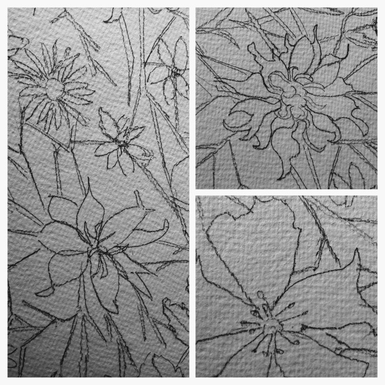 img_20190529_132827-collage-1