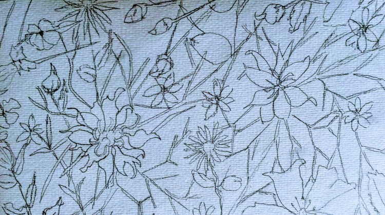 img_20190529_132932-1