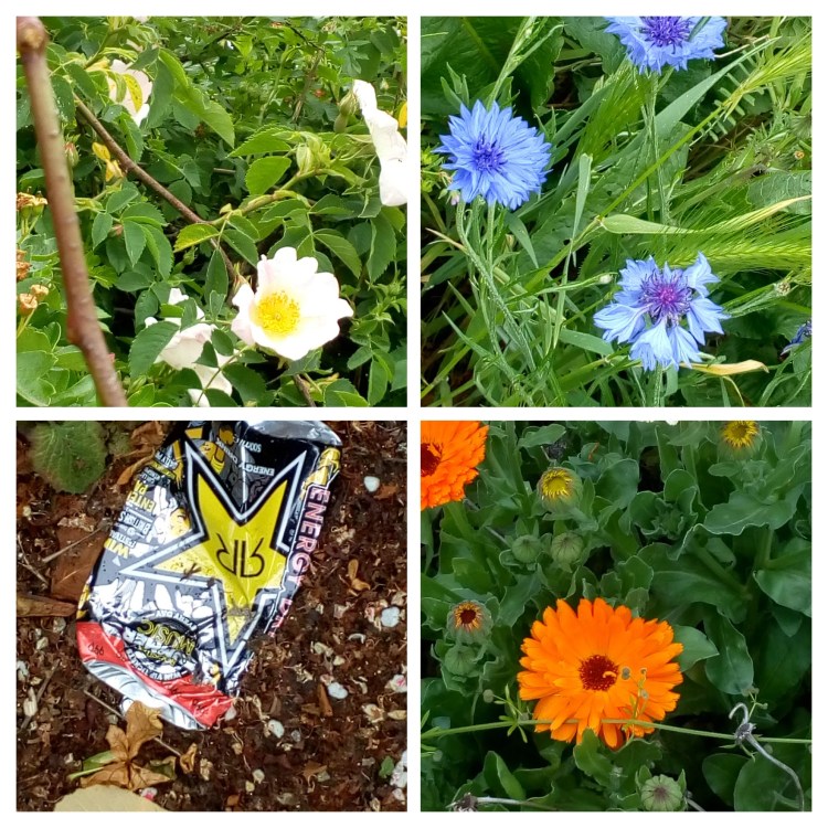 img_20190529_145822-collage