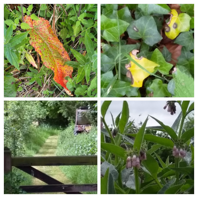 Monks Eleigh collage 3