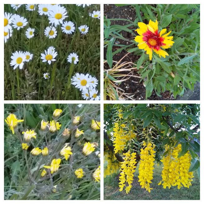 Northern Road 2 collage