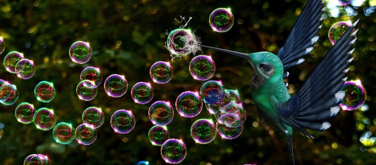 soap-bubbles-3550705_1920
