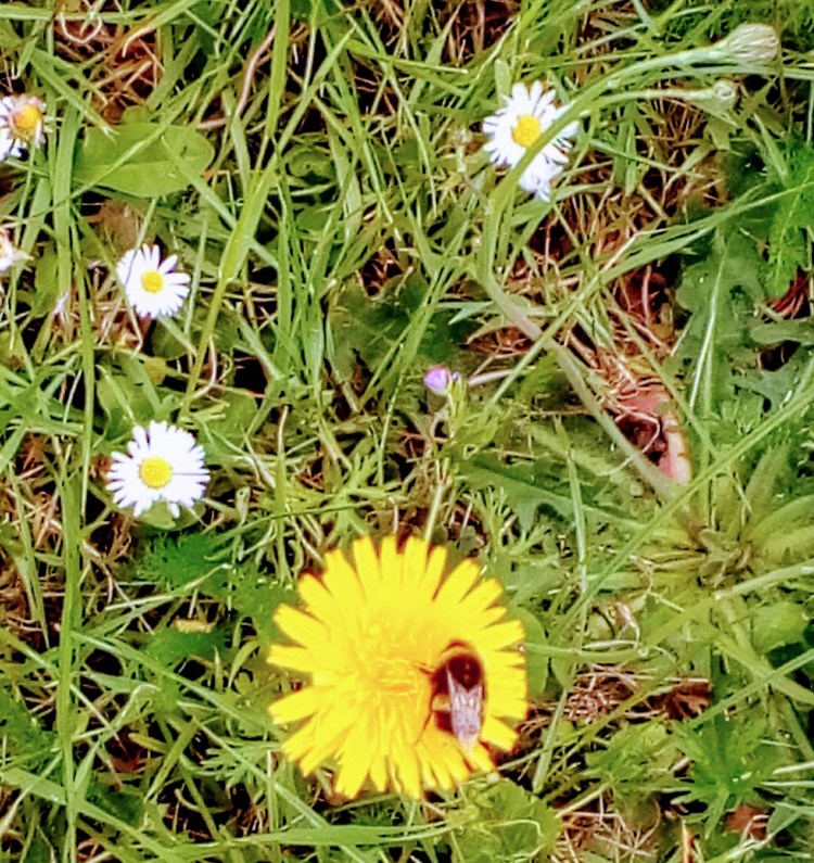 img_20190529_150555-1