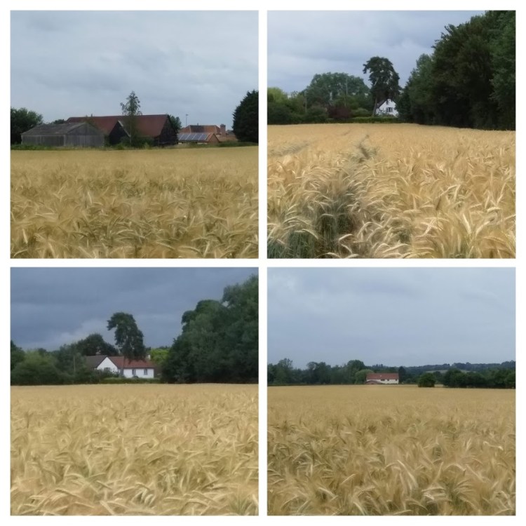 cornard c park property