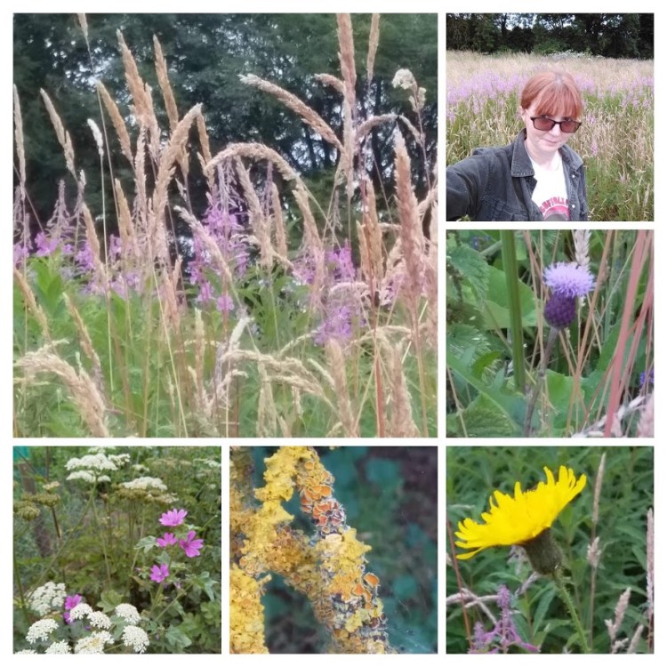 cornard c suck it up