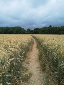 img_20190713_112527-2