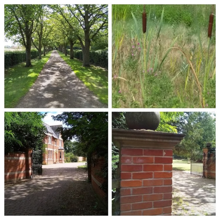 17 Aug 19 chilton 11