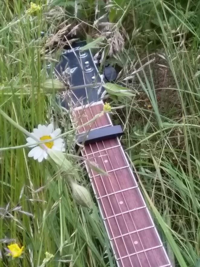 guitar