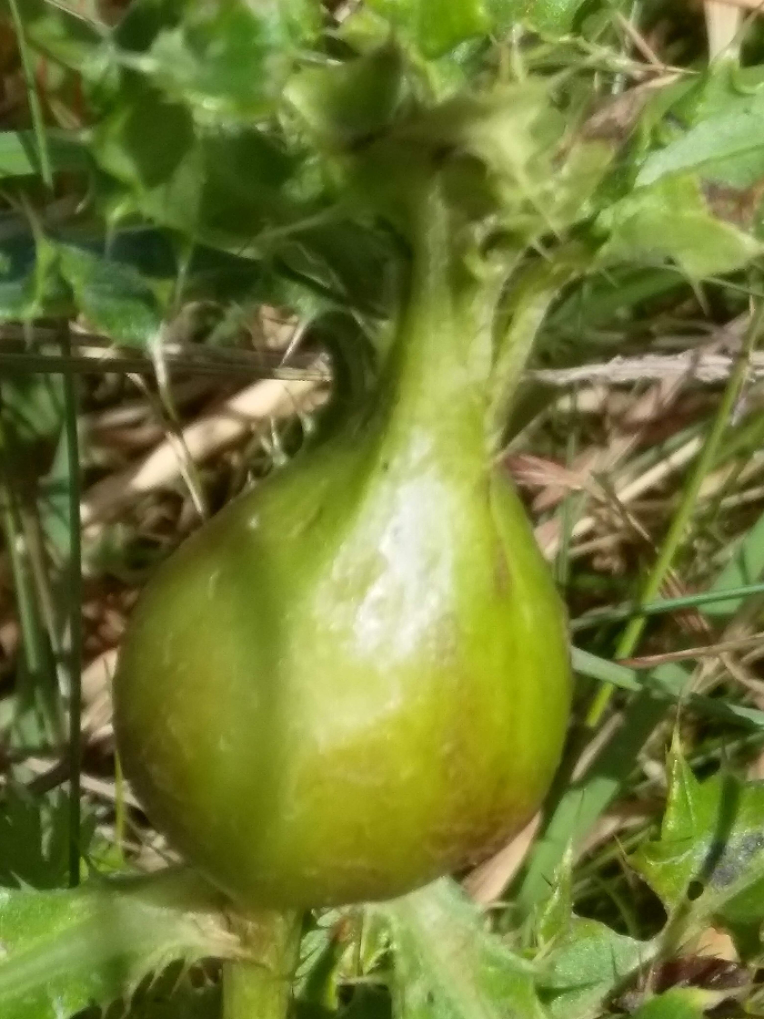 img_20190817_110645-2