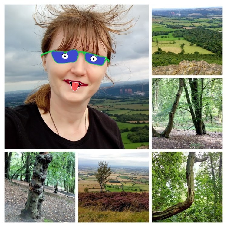 wrekin tree collage