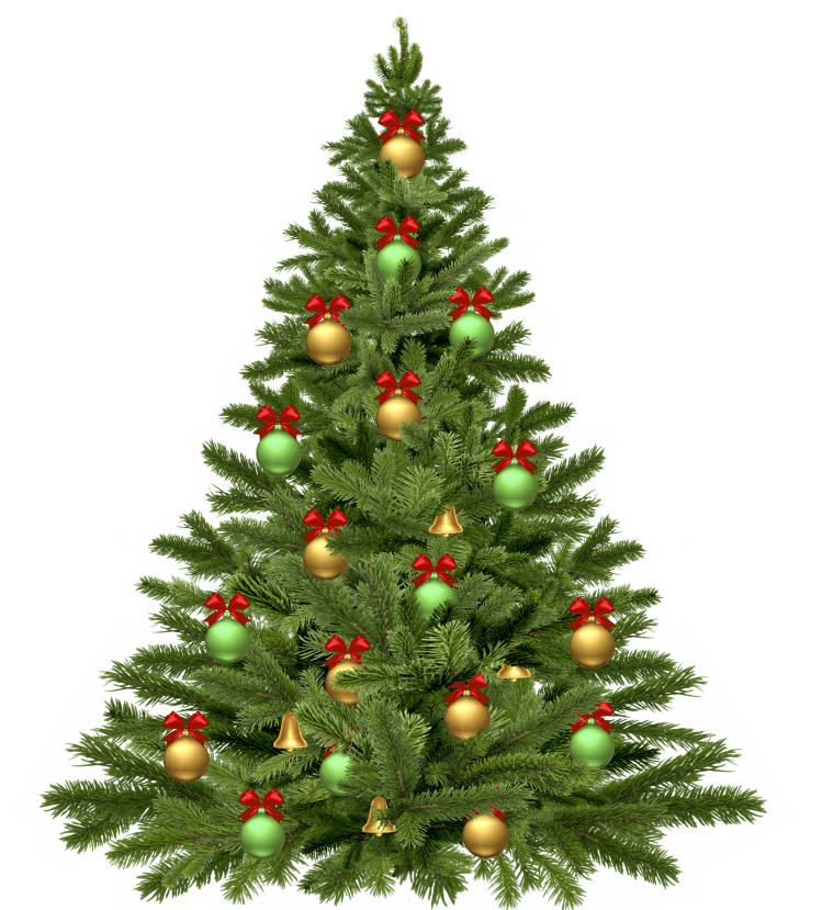 christmas-tree-1808558_1920